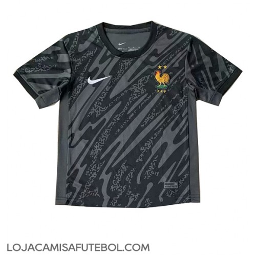 Camisa de Futebol França Goleiro Equipamento Secundário Europeu 2024 Manga Curta